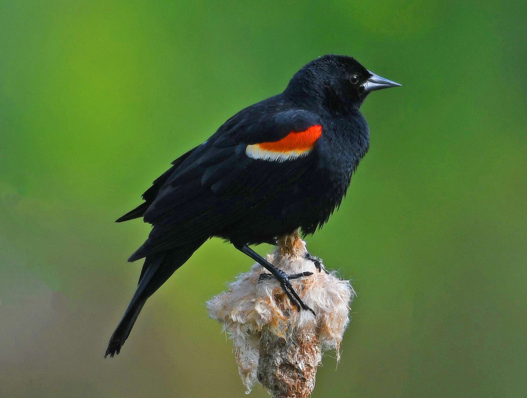 Our Mission Preble County Park District Lewisburg, Ohio